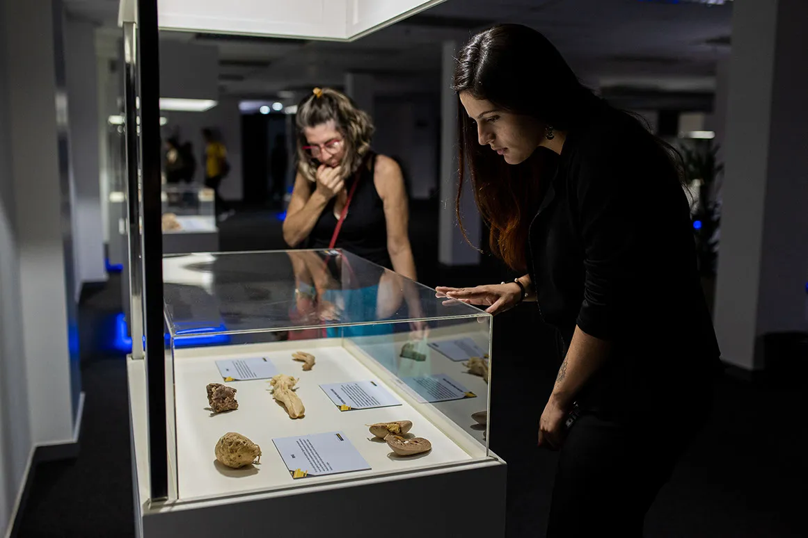 ExpoCorpoHumanoVPS_ThaísMonteiro-10
