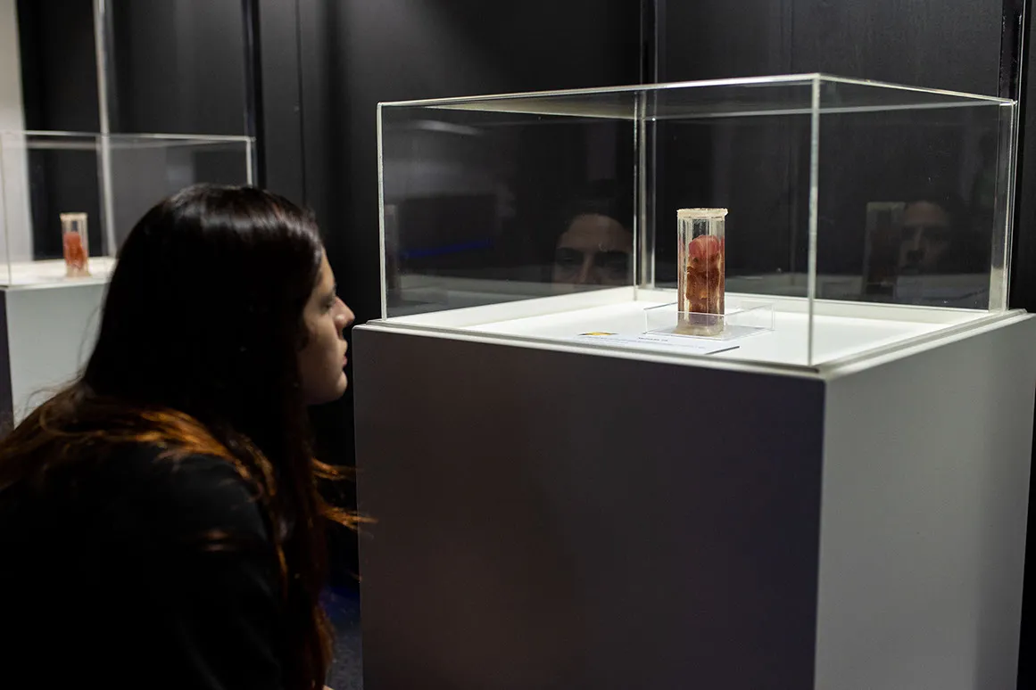 ExpoCorpoHumanoVPS_ThaísMonteiro-11