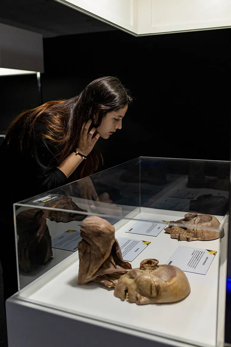 ExpoCorpoHumanoVPS_ThaísMonteiro-3