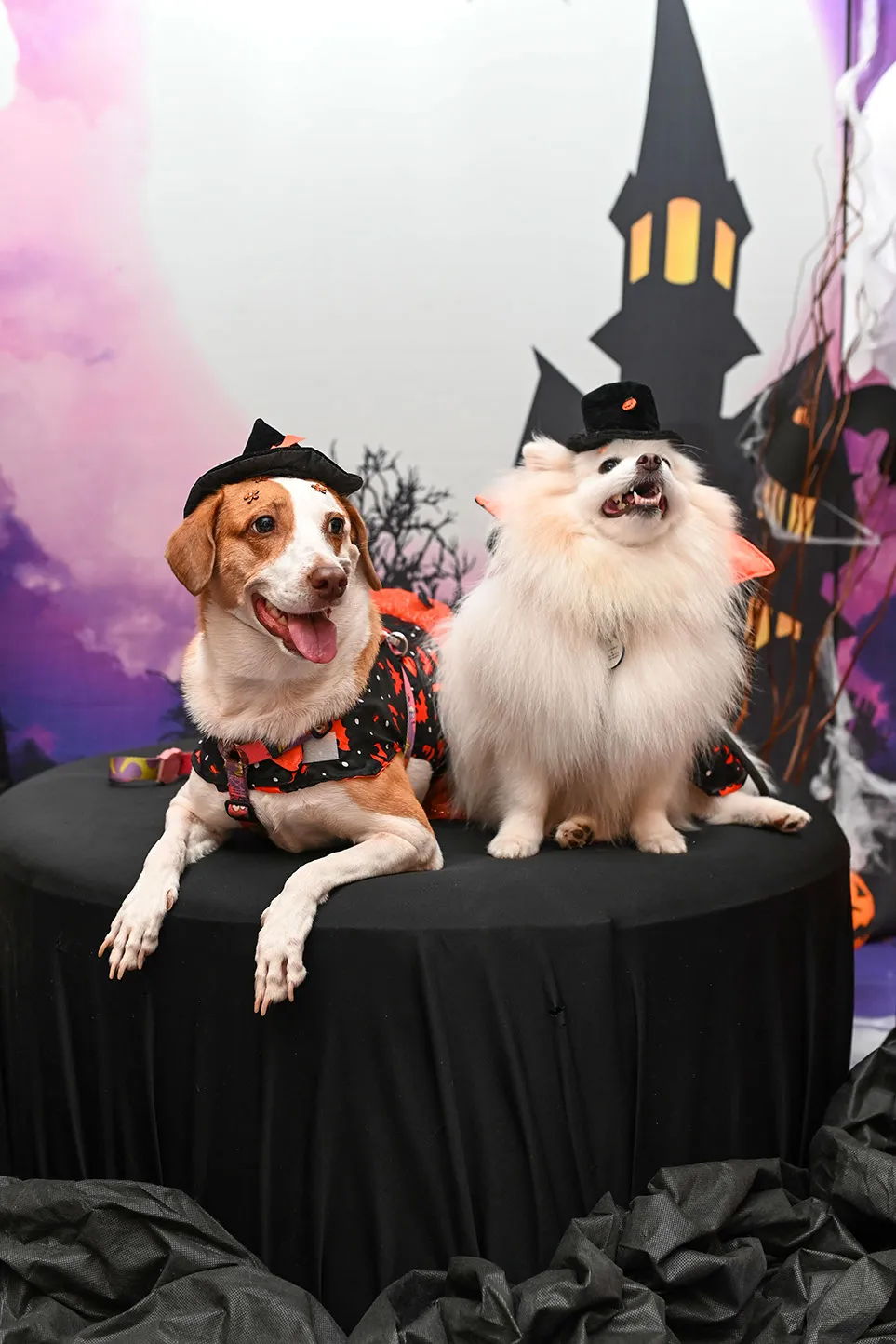 Bailinho de Halloween @ Recreio Shopping